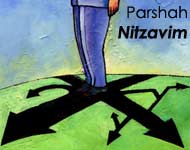 This Week's Torah Portion: Nitzavim